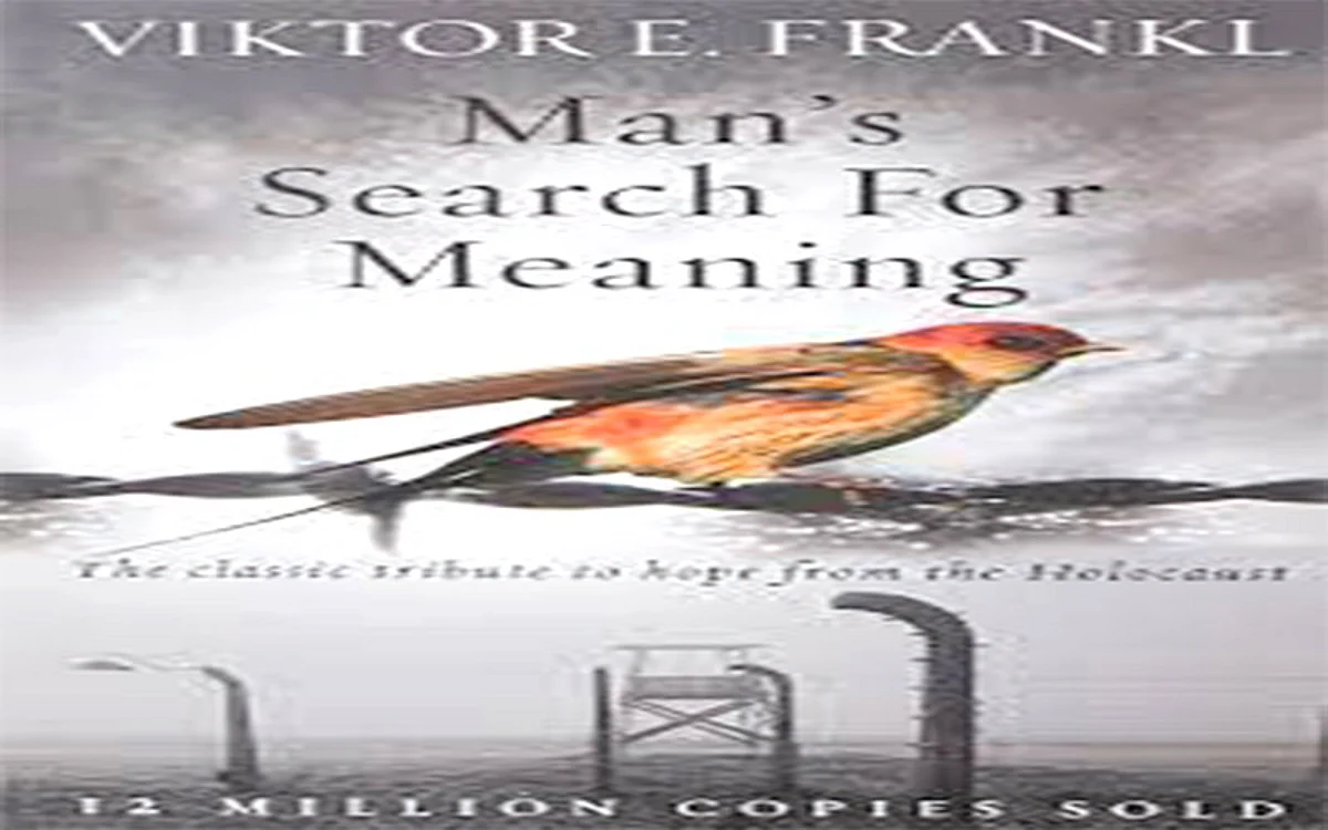 In search of lost meaning