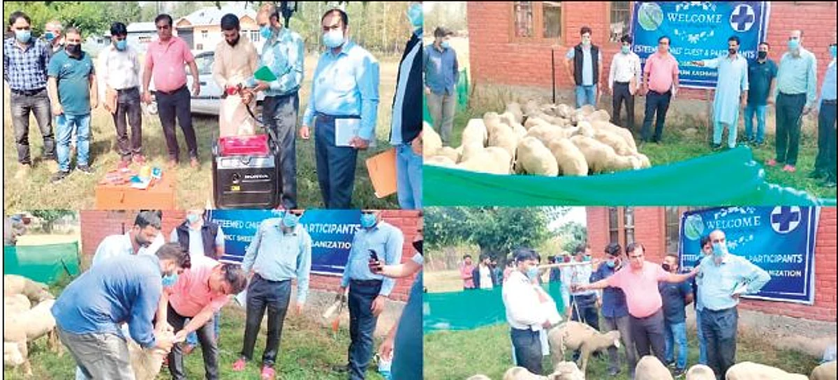 Sheep rearing units set up in Shopian