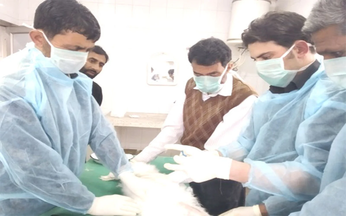Morals and Ethics in Lab Animals Research