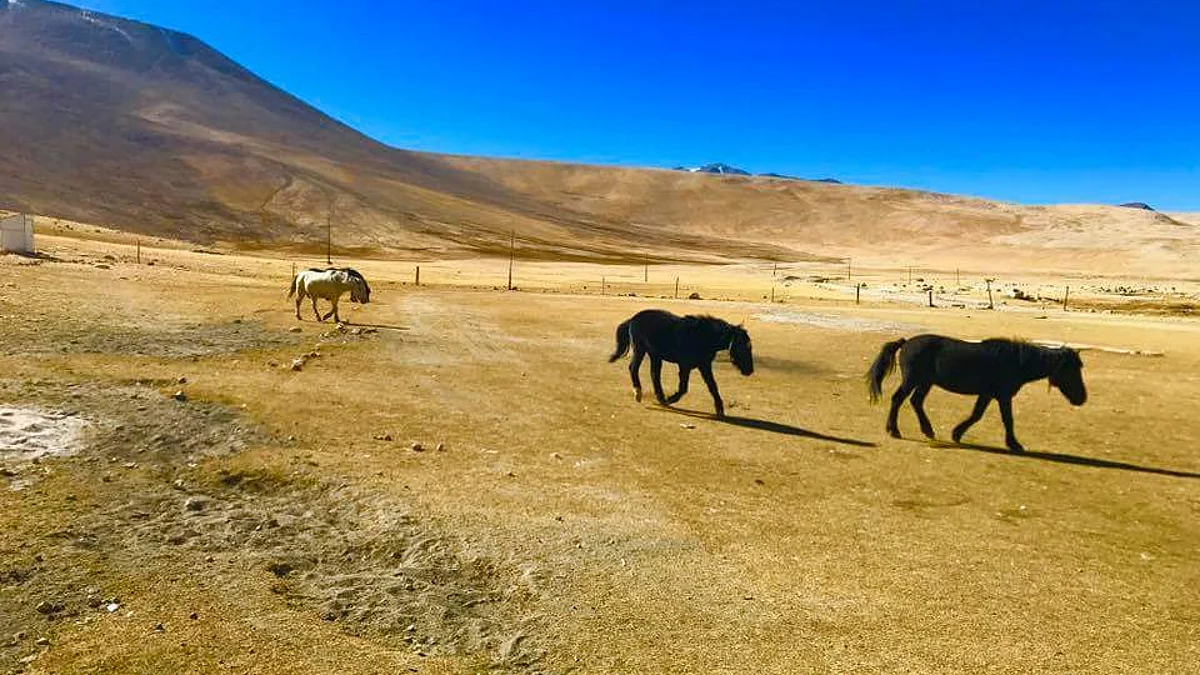Hanle in Ladakh to be declared as 'dark sky sanctuary'