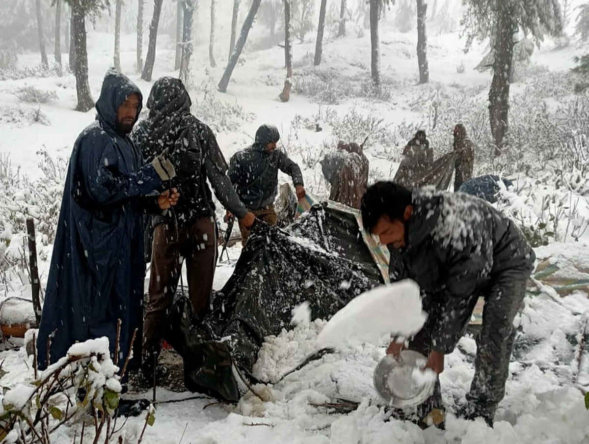 Four nomadic families stuck in snowstorm rescued in Budgam