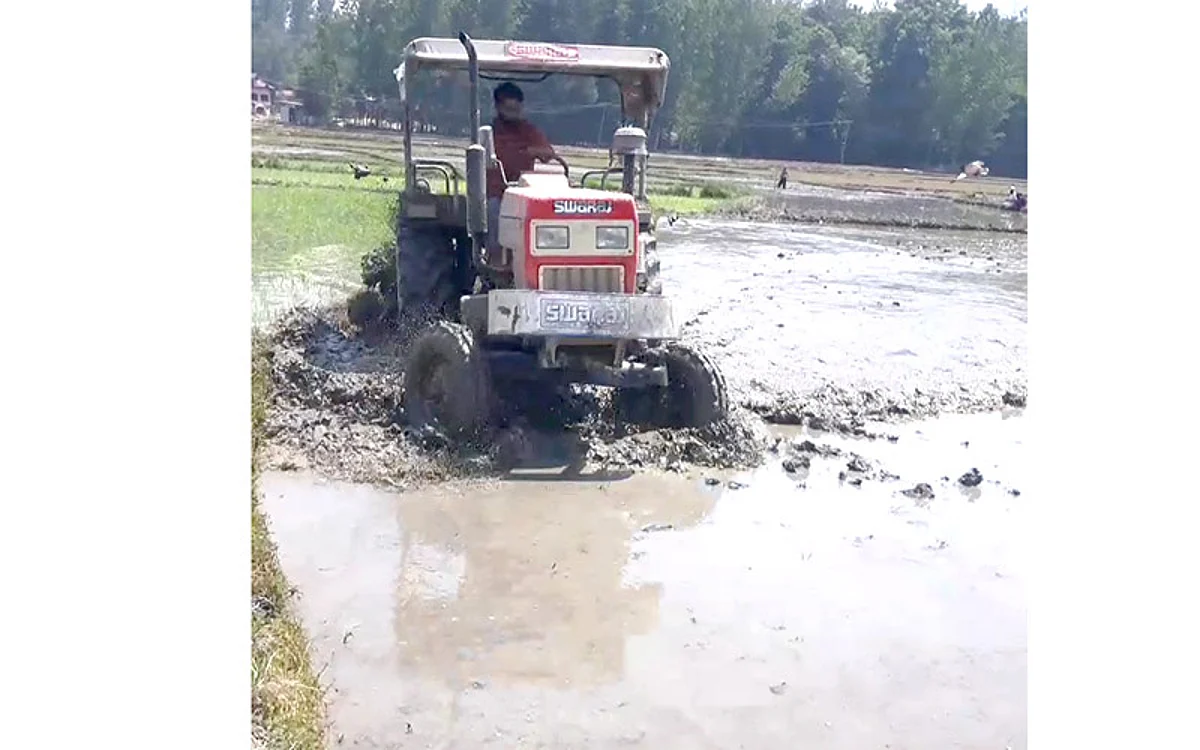 Farm mechanization in rice cultivation