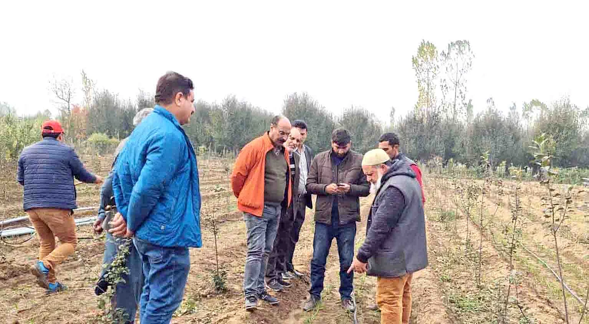 Govt committed to revive past glory of saffron sector: Dir Agri