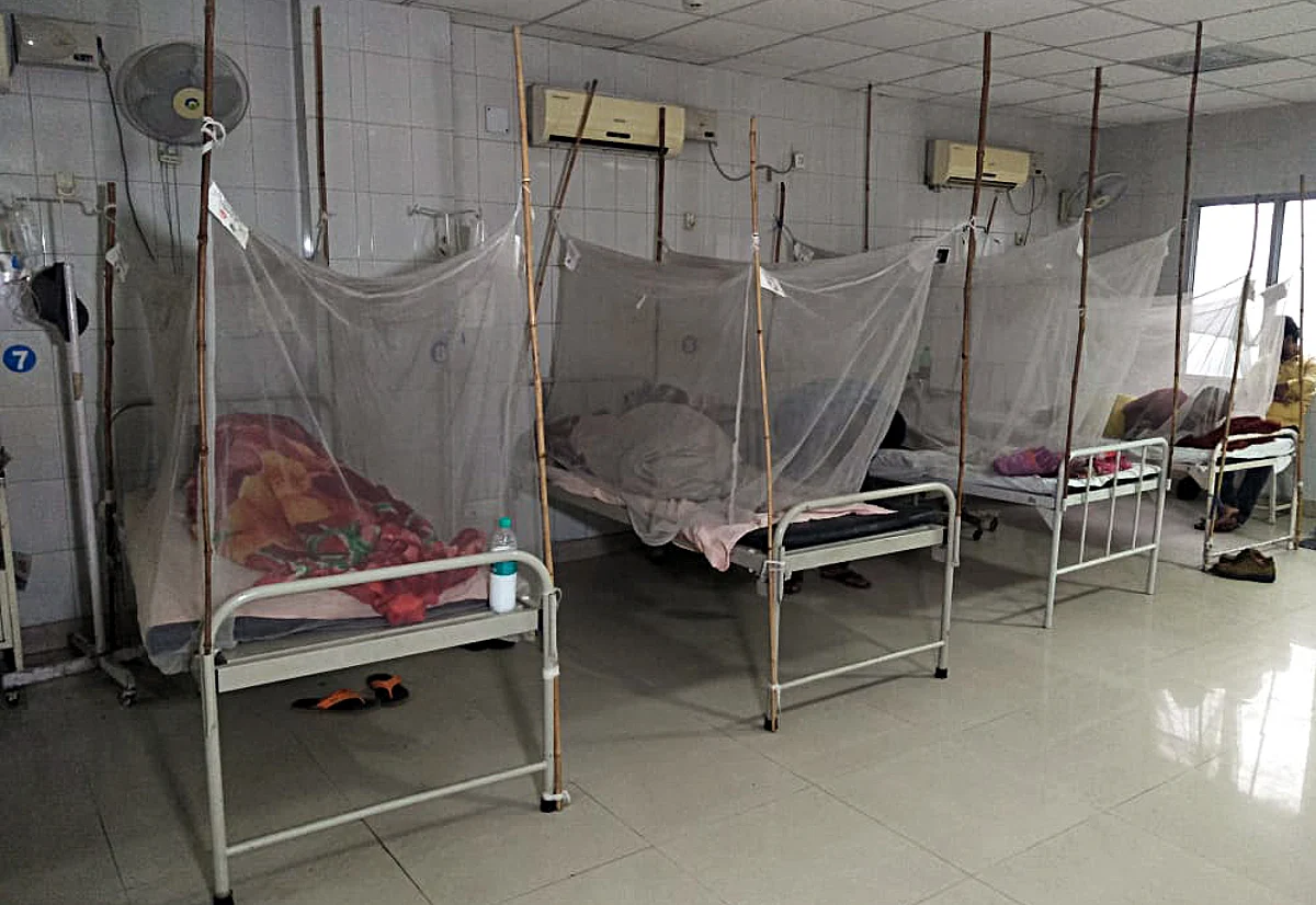 Jammu region reports 1247 dengue cases