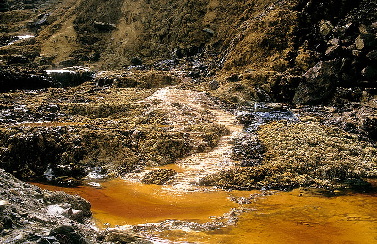 UNABATED MINING IN STREAMS | Threat to trout, flood risk increases
