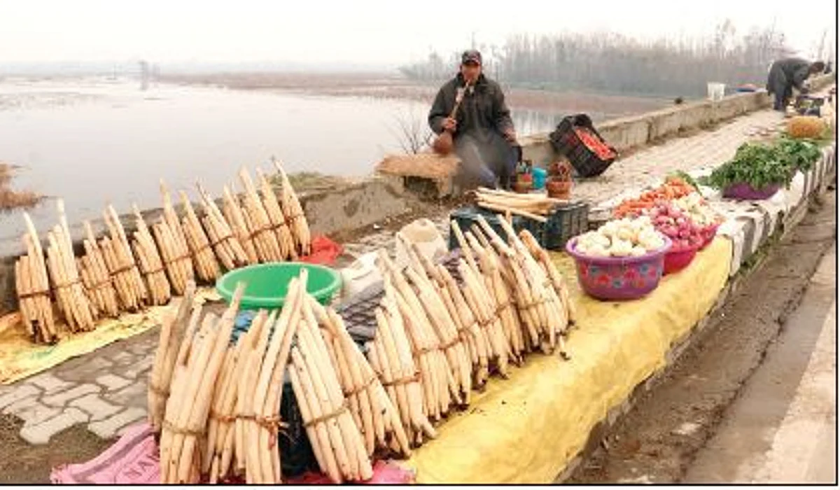 FOOD FOR THOUGHT | Kashmir platter gets expensive with soaring vegetable prices