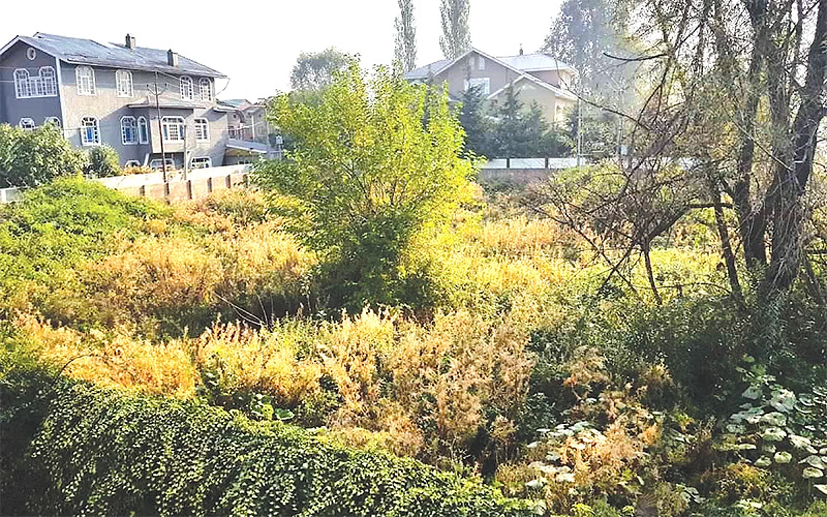 Garbage dump, overgrown grass in vacant plot irks Peerbagh residents