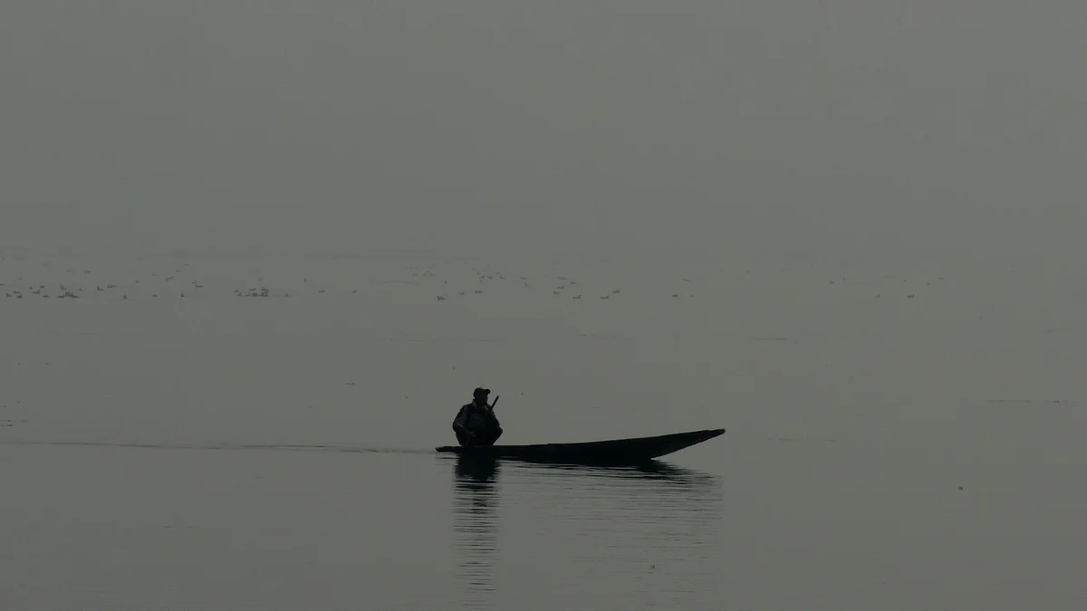 A man rows his boat in world famous Dal Lake amid a cold foggy morning in Srinagar.