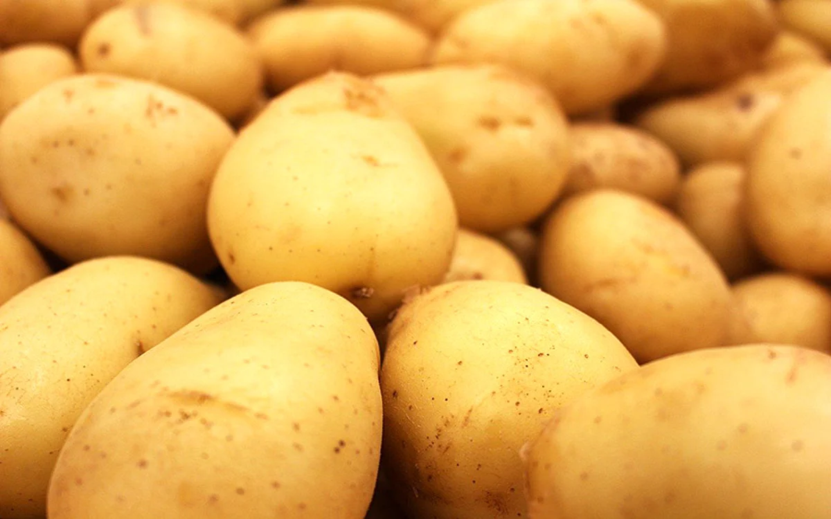Kupwara village farmers not getting better price for potato crop