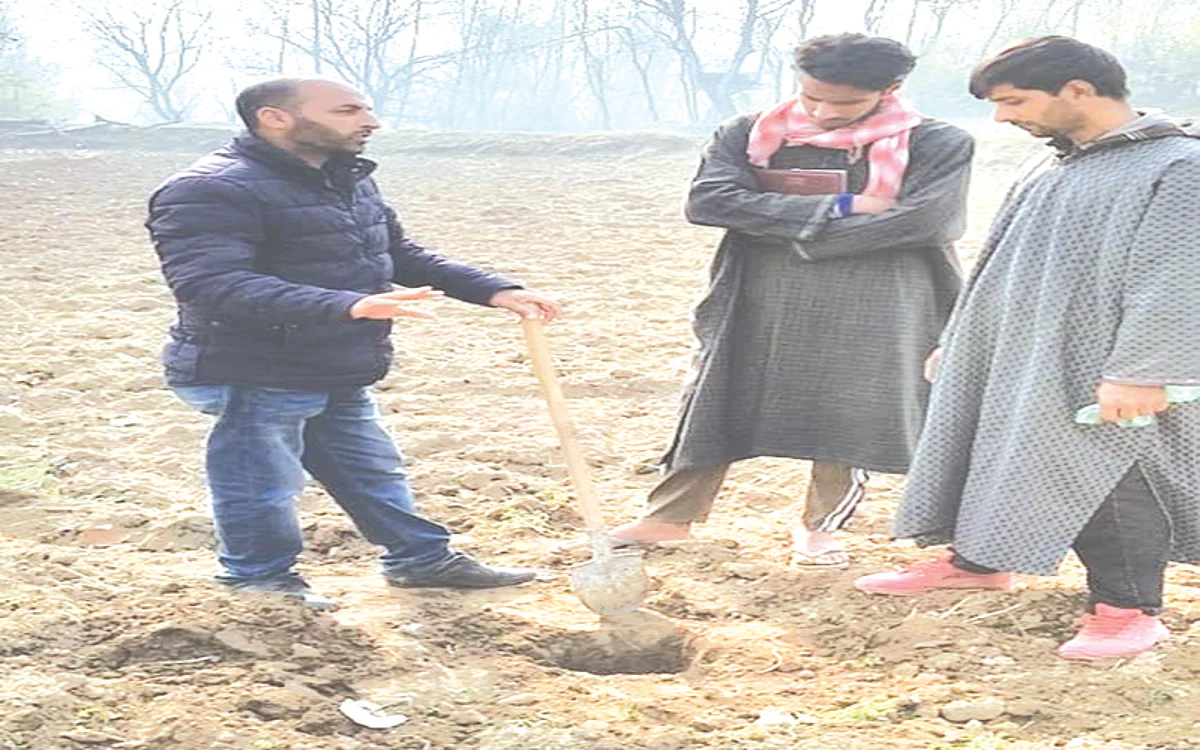 Organic farming in Shopian village sows seed of success
