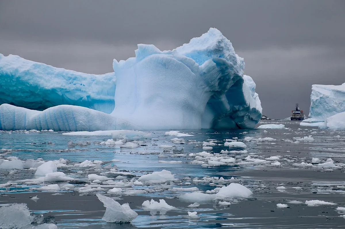 Antarctic bacteria live on air and make their own water using hydrogen as fuel