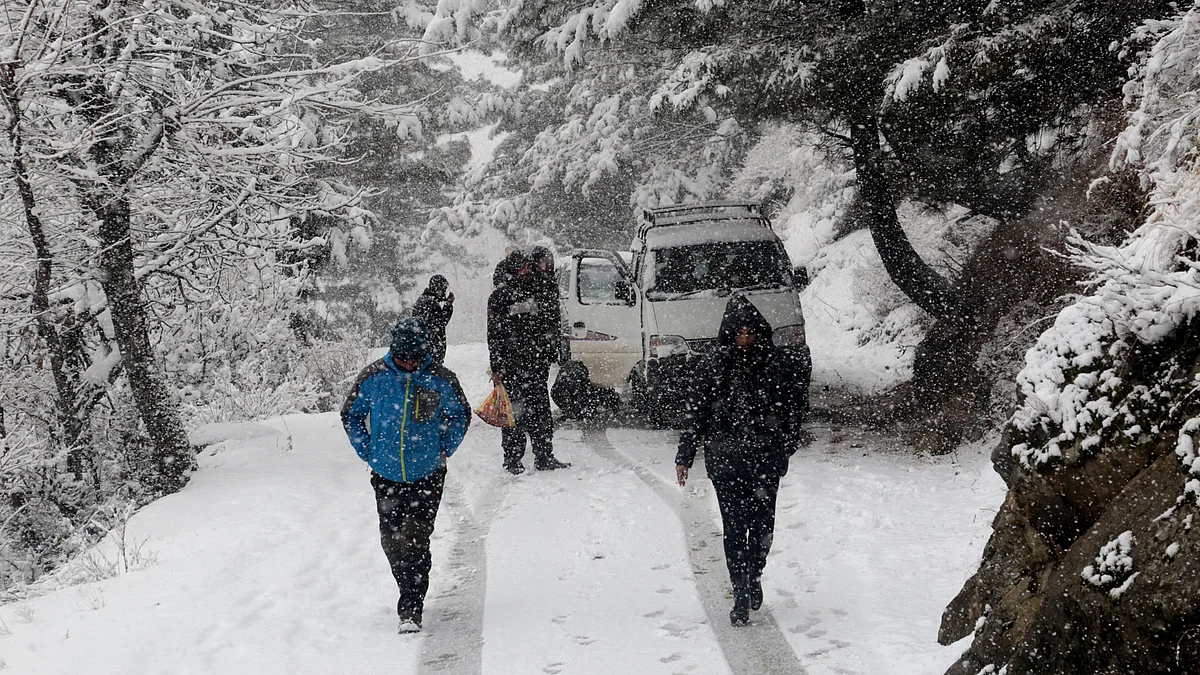 A view of snowfall in north Kashmir's Tangmarg.