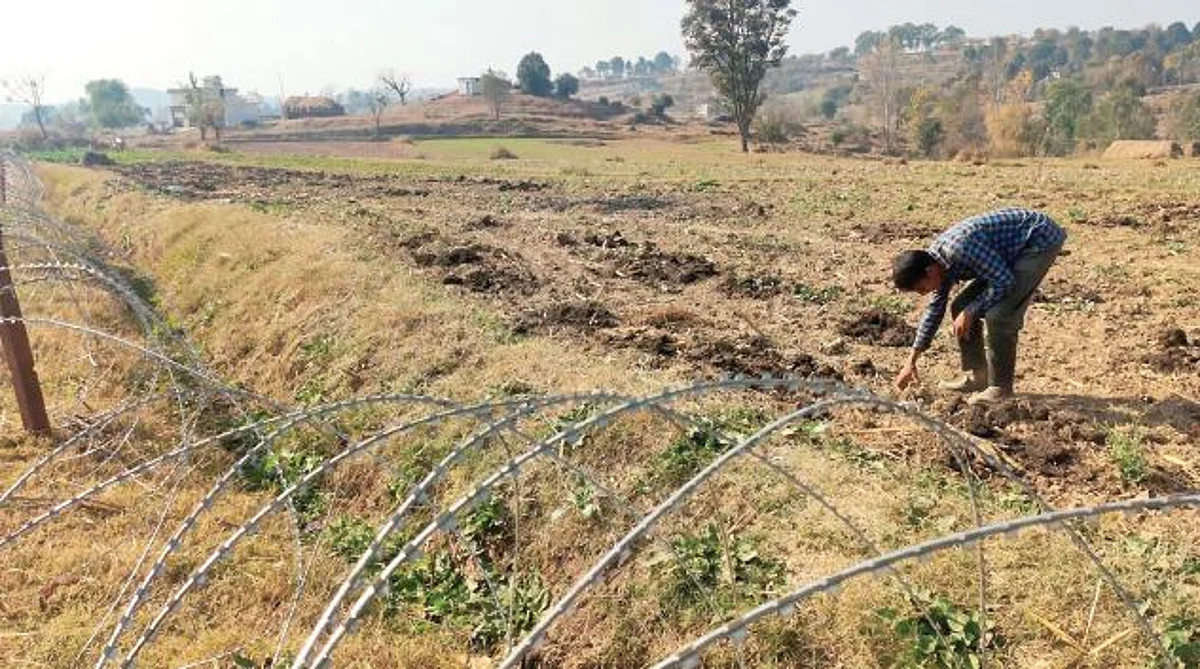 The farmers living along the LoC said that earlier their agriculture work used to remain confined due to a constant threat of firing and shelling but now they were able to carry out their agricultural activities without any fear.