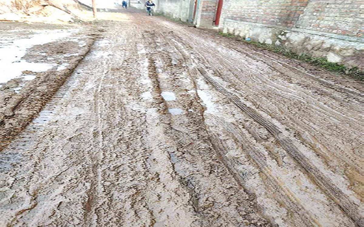 Hamdania Colony residents decry lack of drainage system