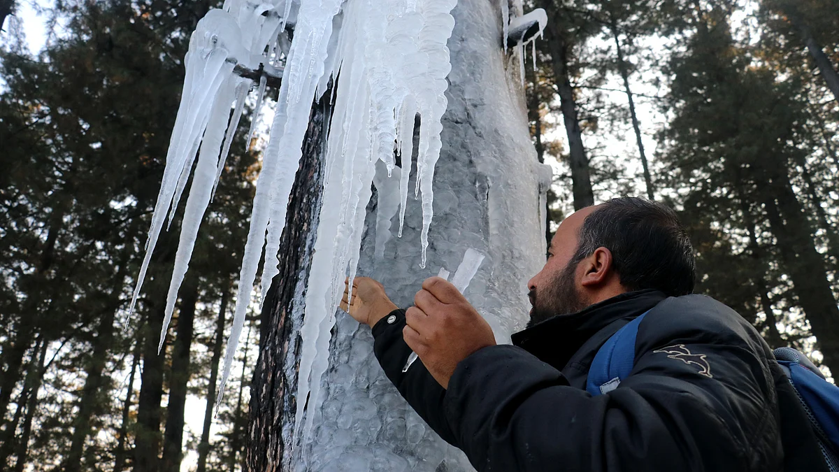 Cold wave continues in Kashmir, Srinagar freezes at minus 3.5° C