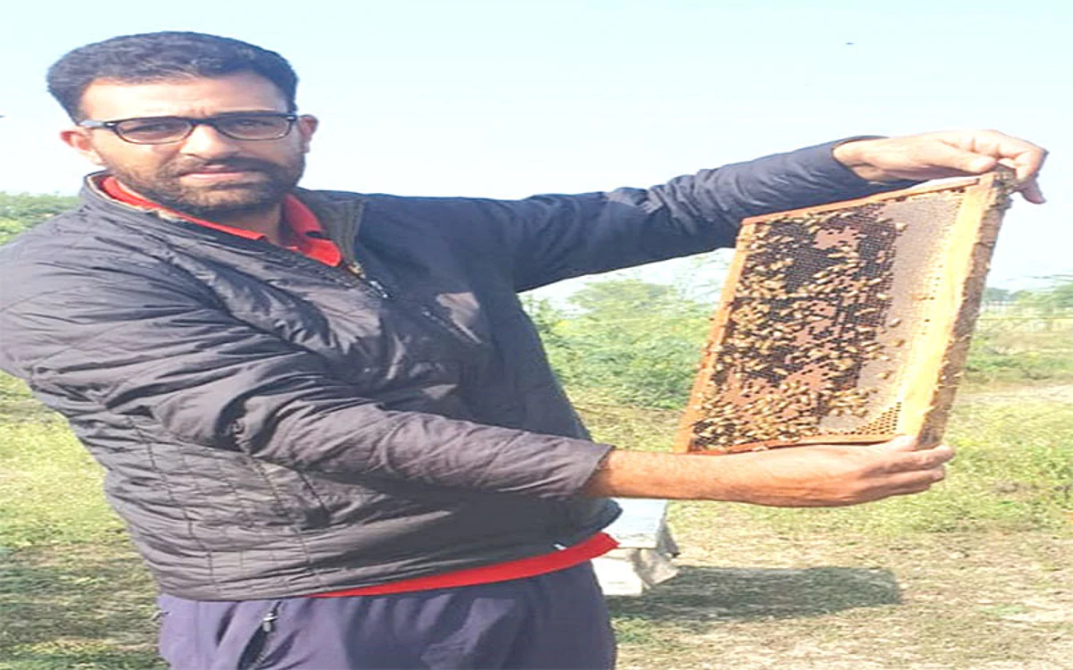 Waseem makes money from Honey