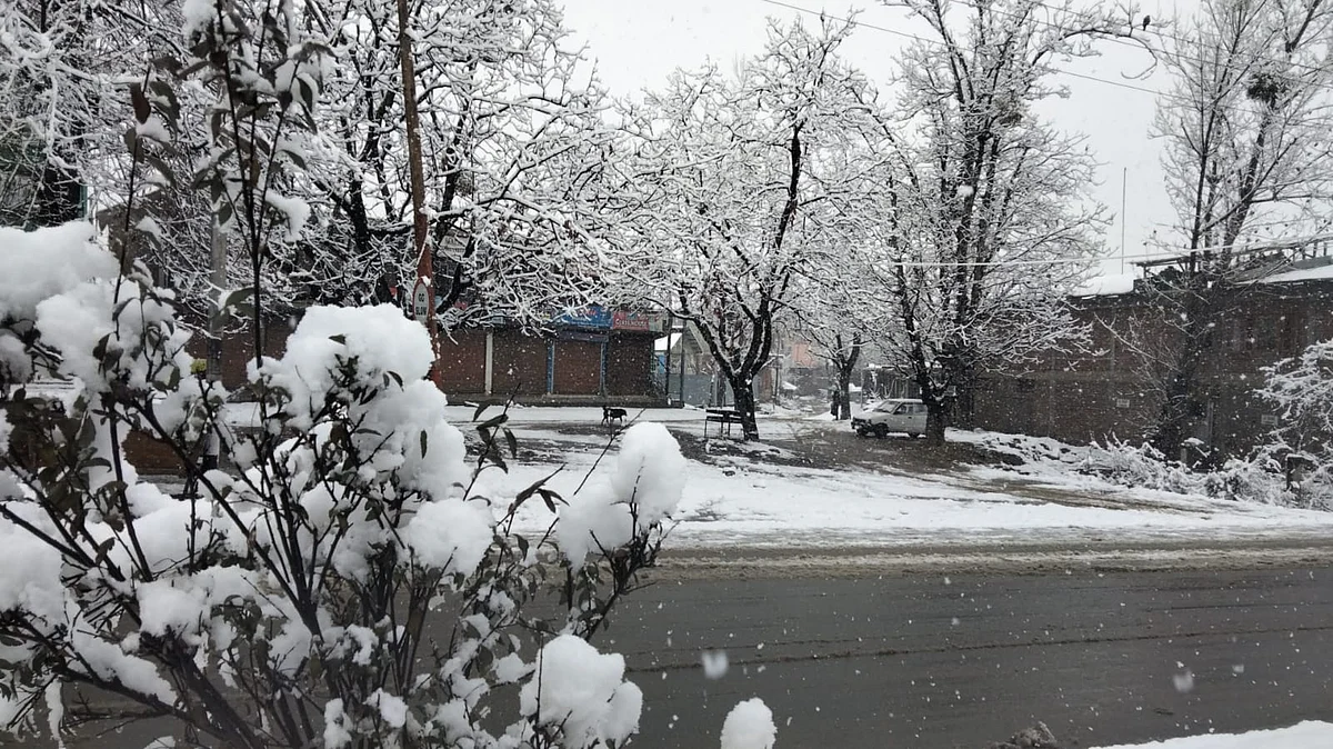 Fresh snowfall in north Kashmir's Baramulla on Tuesday January 4, 2021.
