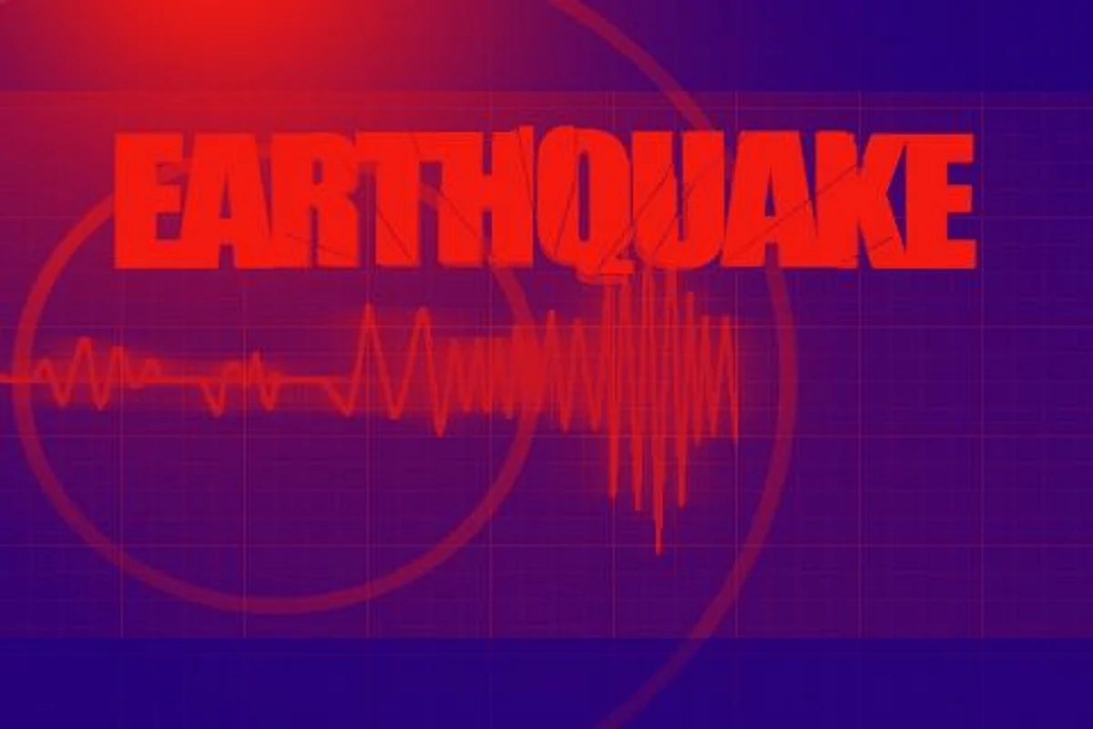 Moderate intensity earthquake jolts Kashmir