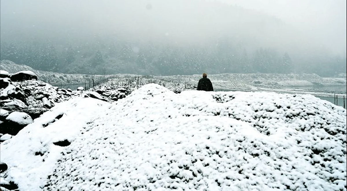Representational Image