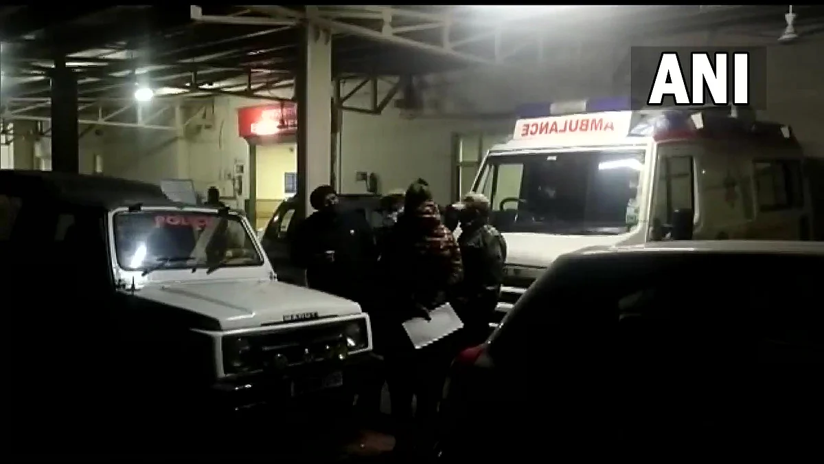 At least 12 people were killed and 20 others injured in a stampede at the famous shrine, triggered by a heavy rush of devotees, officials said Saturday.