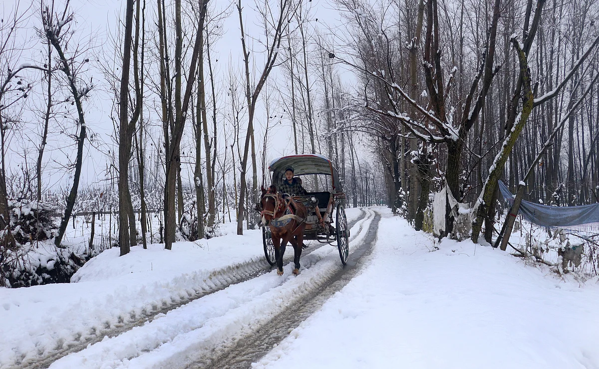 Clearing the Roads