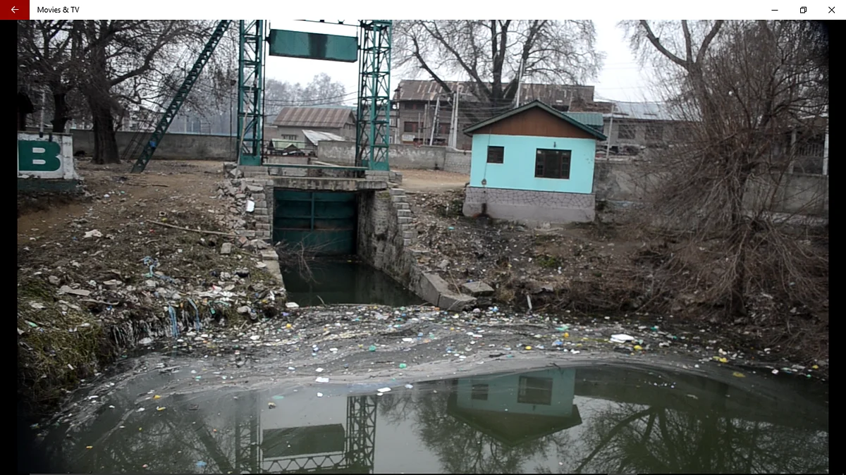 Our dying water bodies