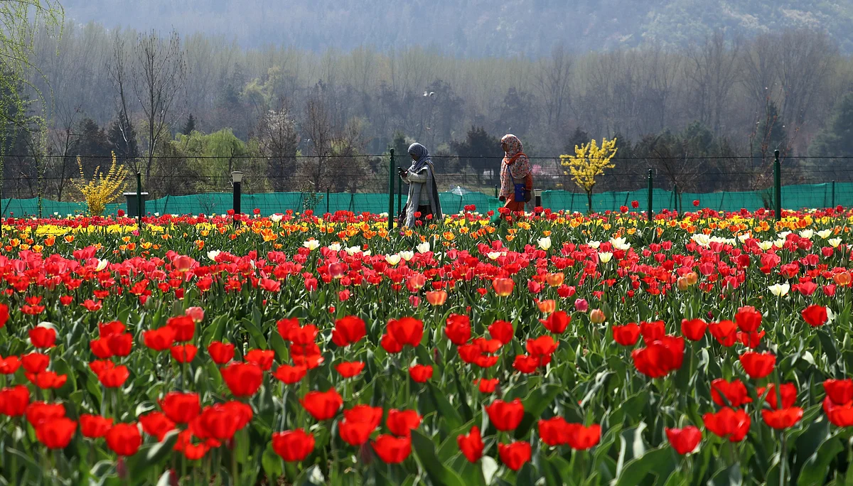 “Wande chali sheen gali bayi yee bahar” - Winter will go, the snow will melt, and the spring will return - is the line saying from Ghulam Ahmad Mahjoor, Shaiyre Kashmir. It indicates new hope in a philosophical way."