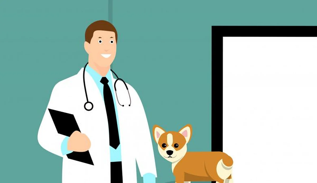We need veterinarians