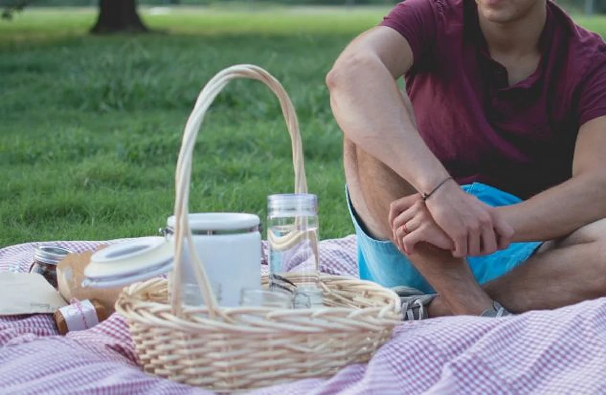 My Picnic Days