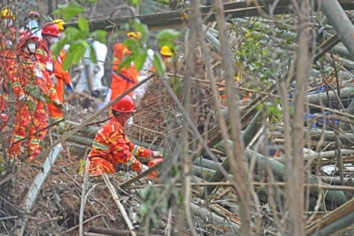 The Boeing 737-800 was flying between the southern Chinese cities of Kunming and Guangzhou when it crashed.