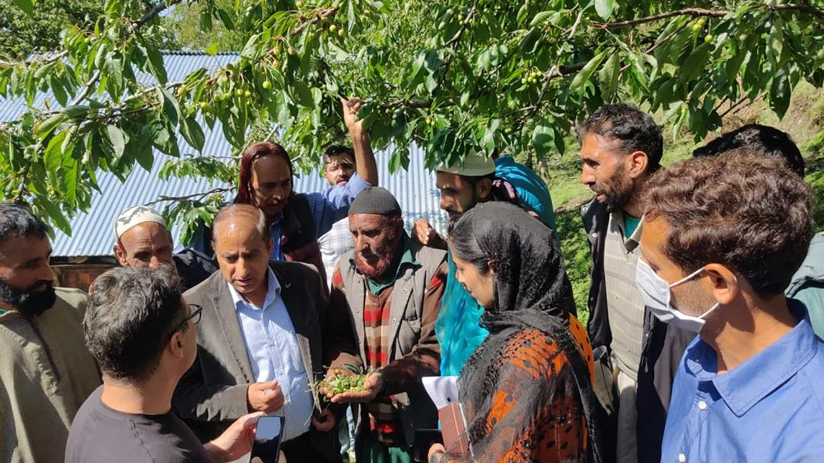 Director General Horticulture, Ajaz Ahmad Bhat during his visit to a fruit orchard damaged in Friday's hailstorm.