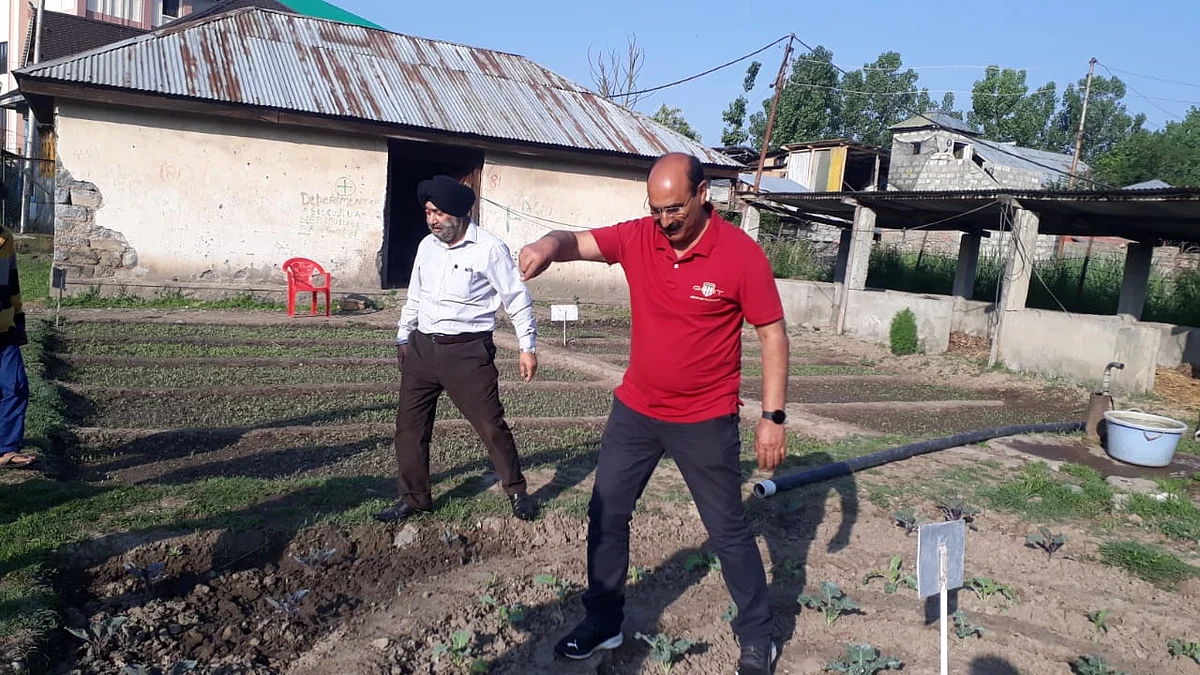 Increase vegetable seedling production using greenhouse technique: Director Agriculture