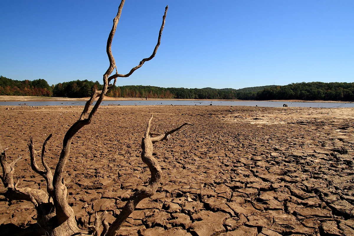 Climate Calamity