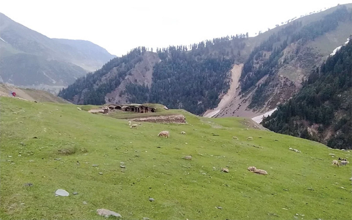 View of Aliabad saria
