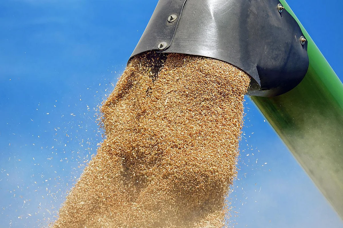 India bans wheat exports with immediate effect