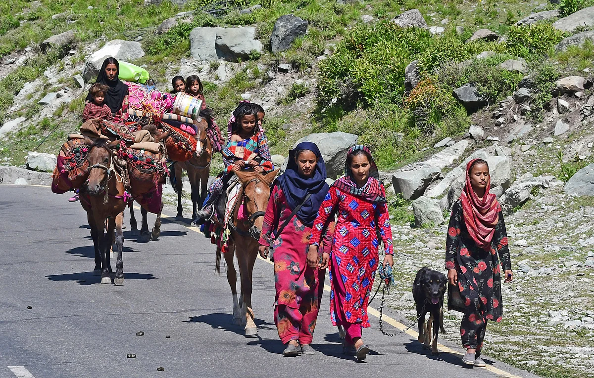 The Miseries of Nomadic Tribes!