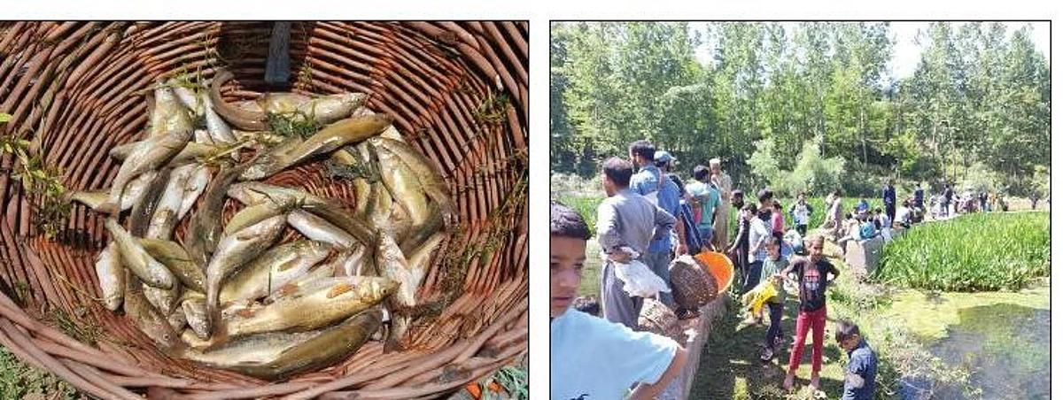 The day coincides with Roshan Posh (flowering the souls) - the traditional annual spring festival, specific to Kashmir which also marks the ripening of fruits.