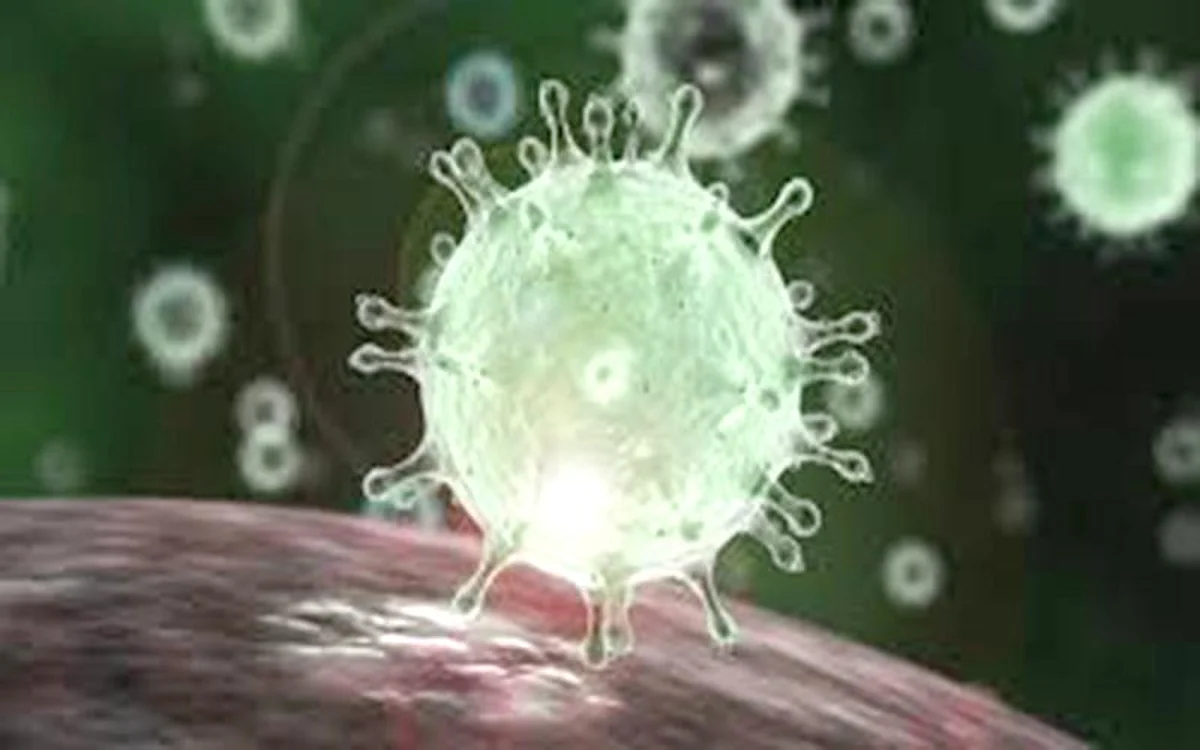2-day international conference on Coronavirus concludes at SKUAST-K