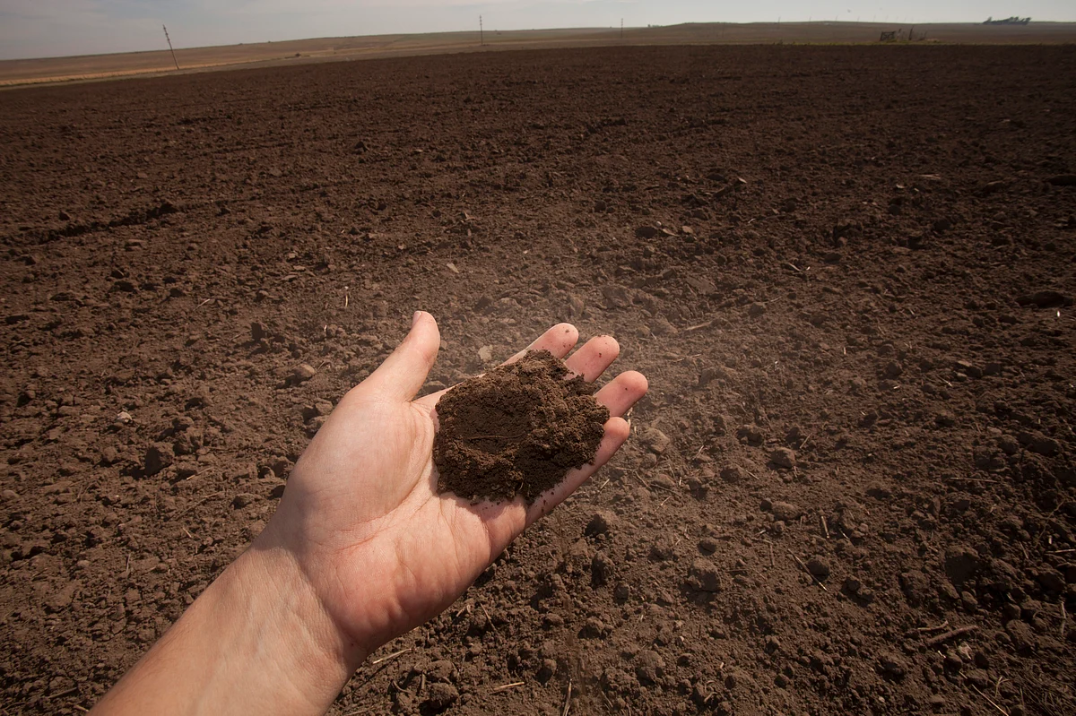 "According to Professor Bridget Emmett of the UK Centre for Ecology and Hydrology: “Soil is one of the most underrated and little understood wonders on our fragile planet."