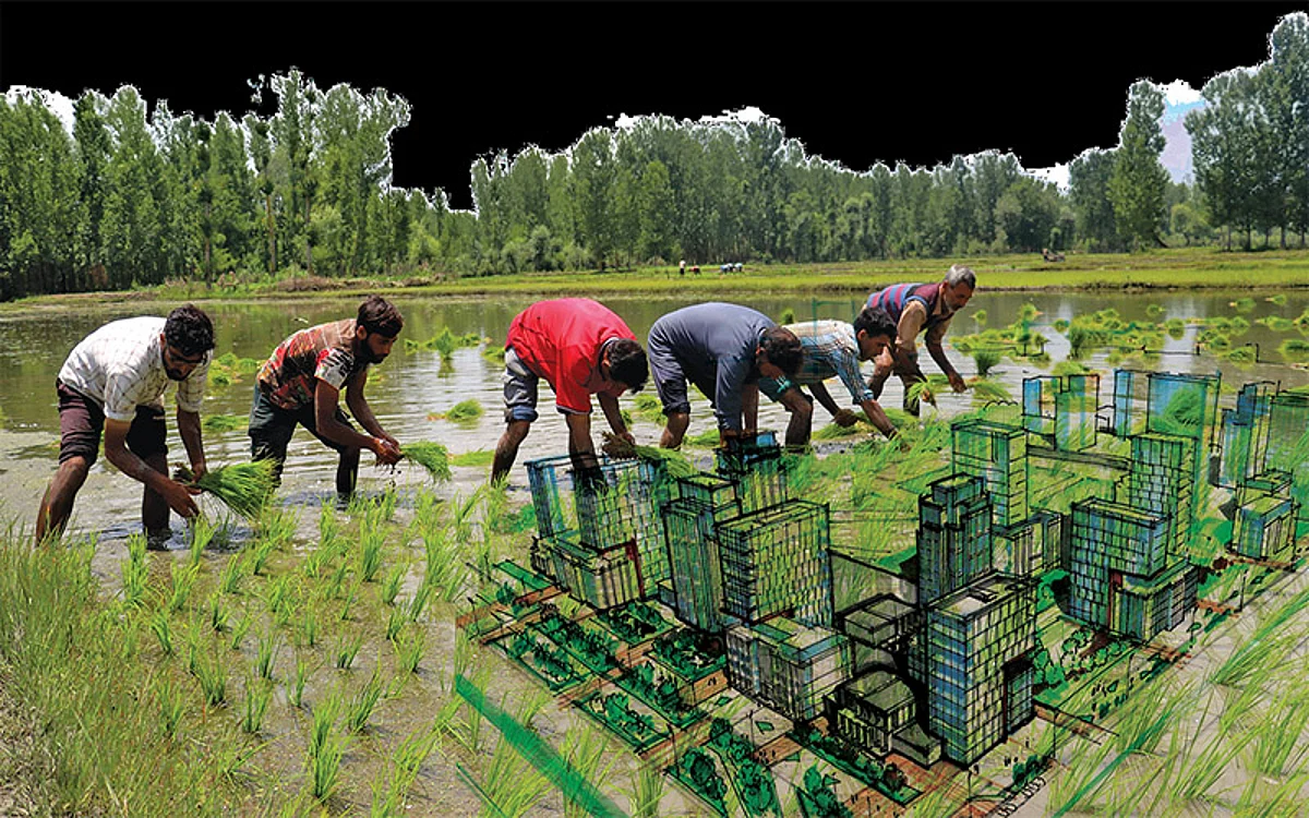 Kashmir Losing Cultivable Land to Towering Malls, Giant Showrooms