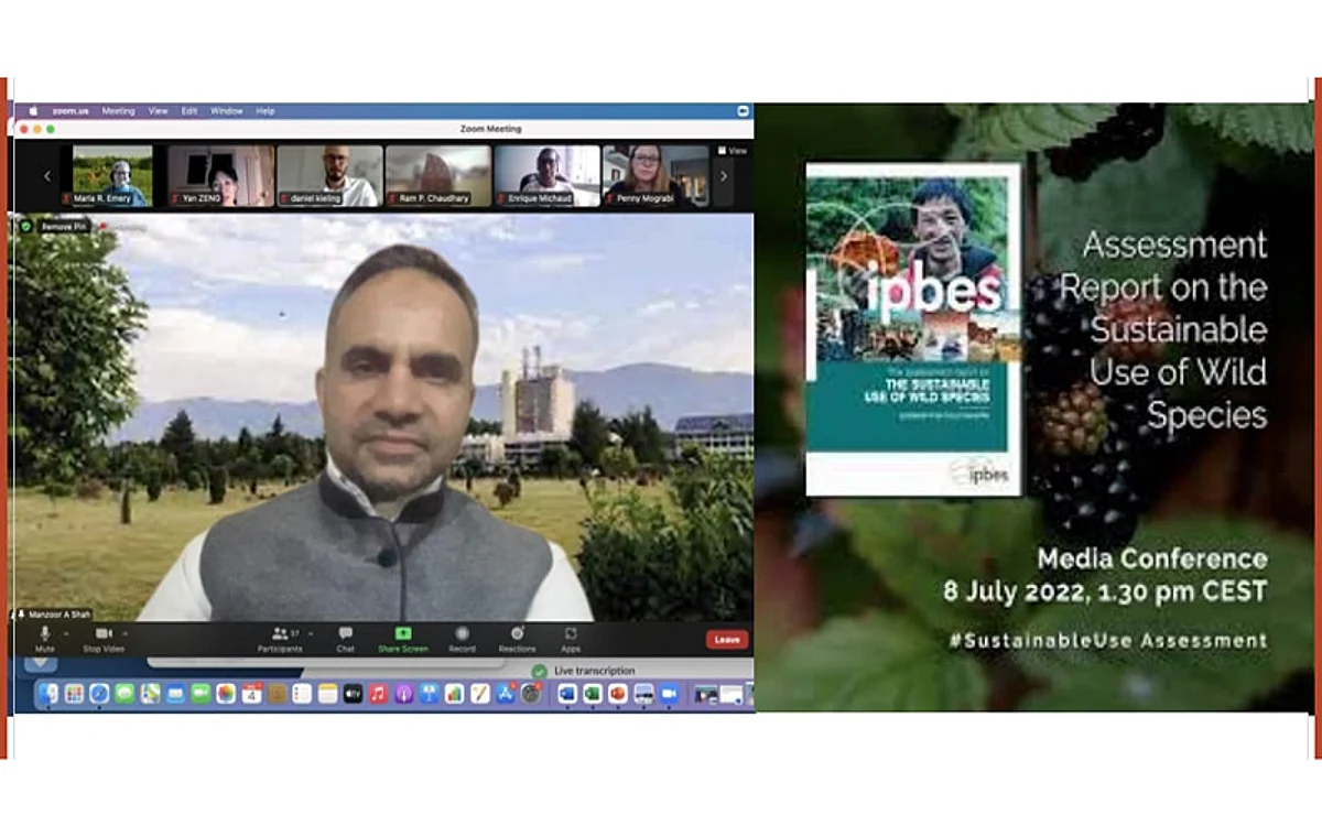KU part of key report released by UN-IPBES on sustainable use of wild species