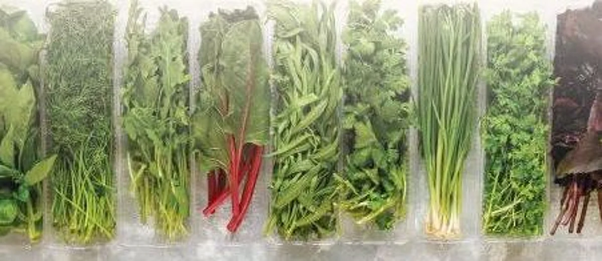 The vegetables, according to Mehbooba, fetches her Rs 70,000 to 1,00,000 annually.