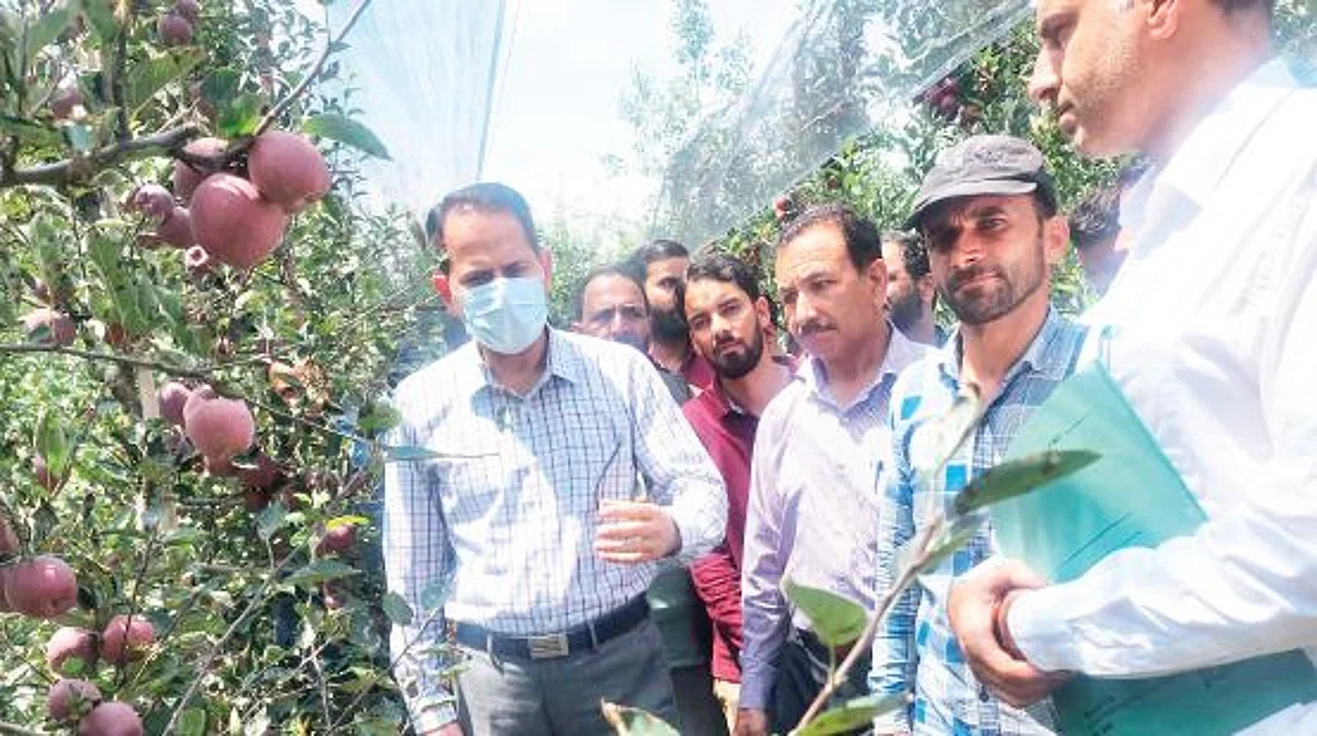 At the outset of the programme, Director was appraised about the present scenario of the Horticulture sector in the district.