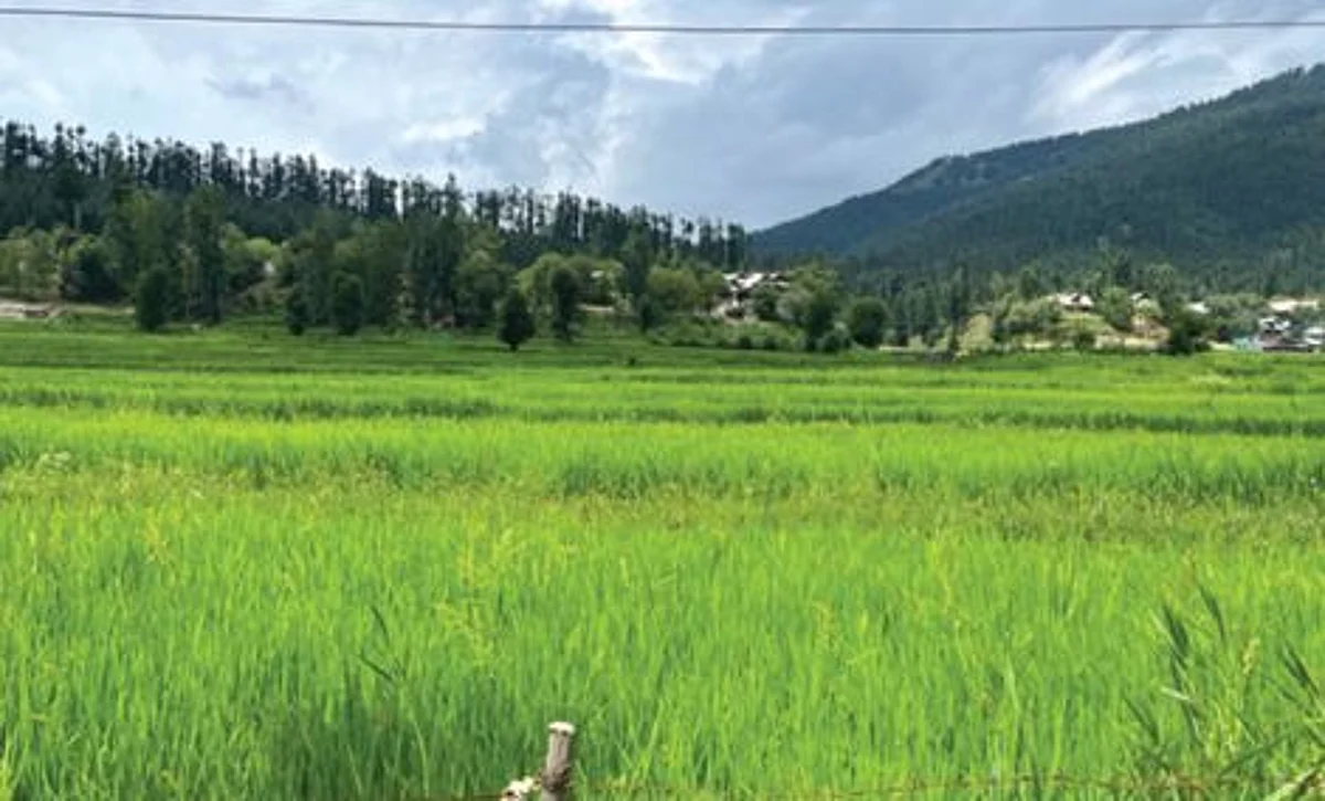 "The actual name of what is called Pulwama today as per the records was Panwangam."
