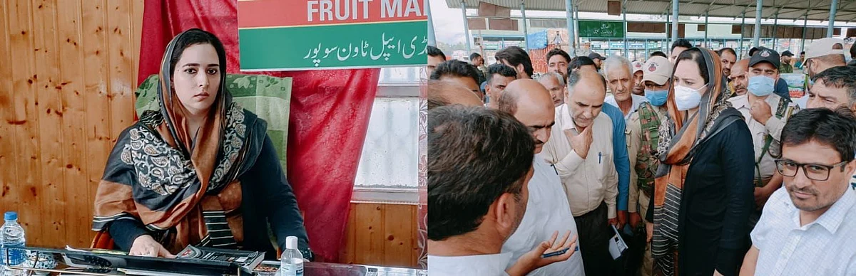 The association also briefed DC with regard to the concern of the apples being imported to India by Iran via Afghanistan, and termed it a big loss for our apple trade and more importantly the economy of the farmers.