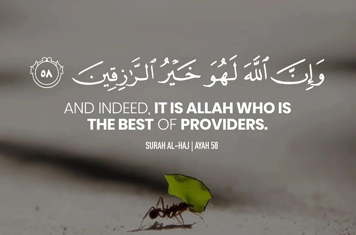 Allah (SwT) in His Infinite Wisdom has imposed such a quantitative balance on organisms that no species can develop beyond the limits ordained by Almighty.