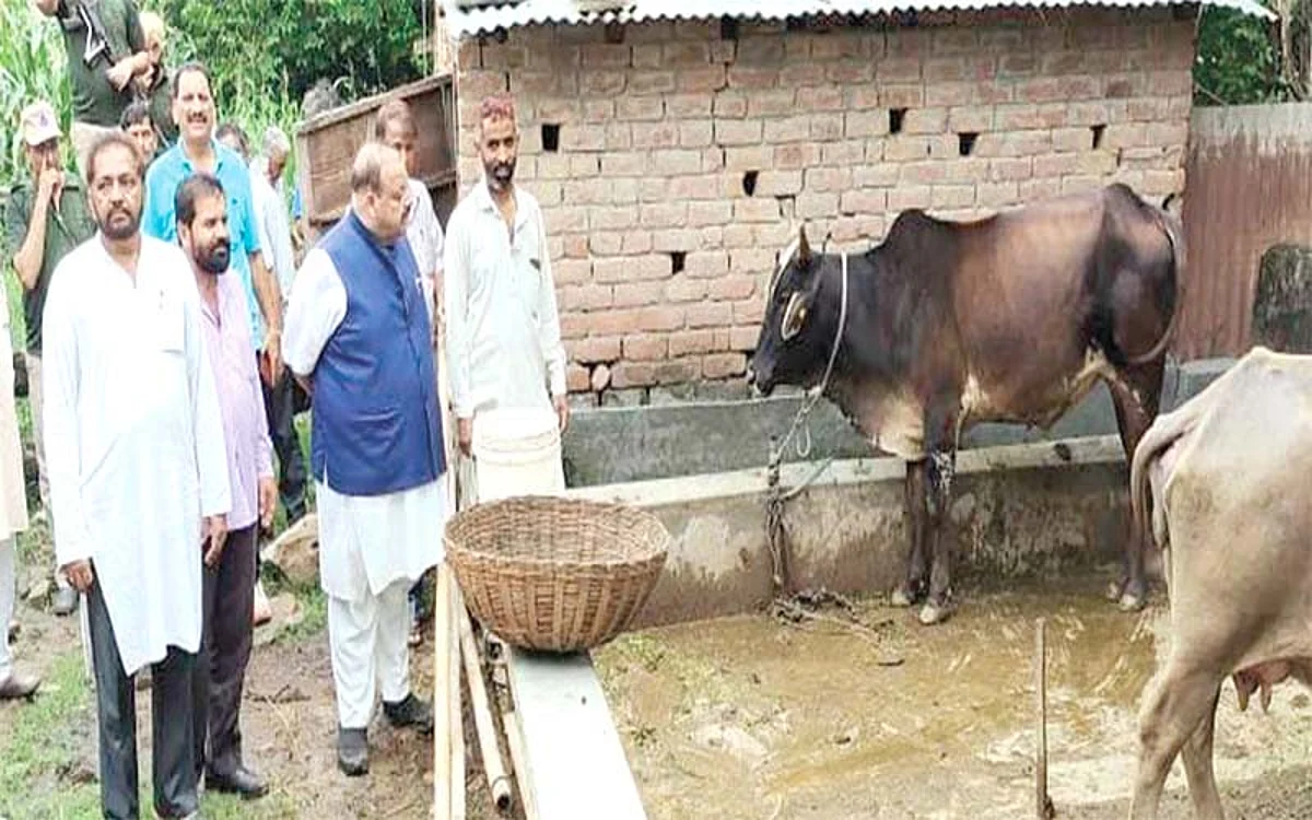 Rana seeks deployment of special teams for containing LSD among cattle