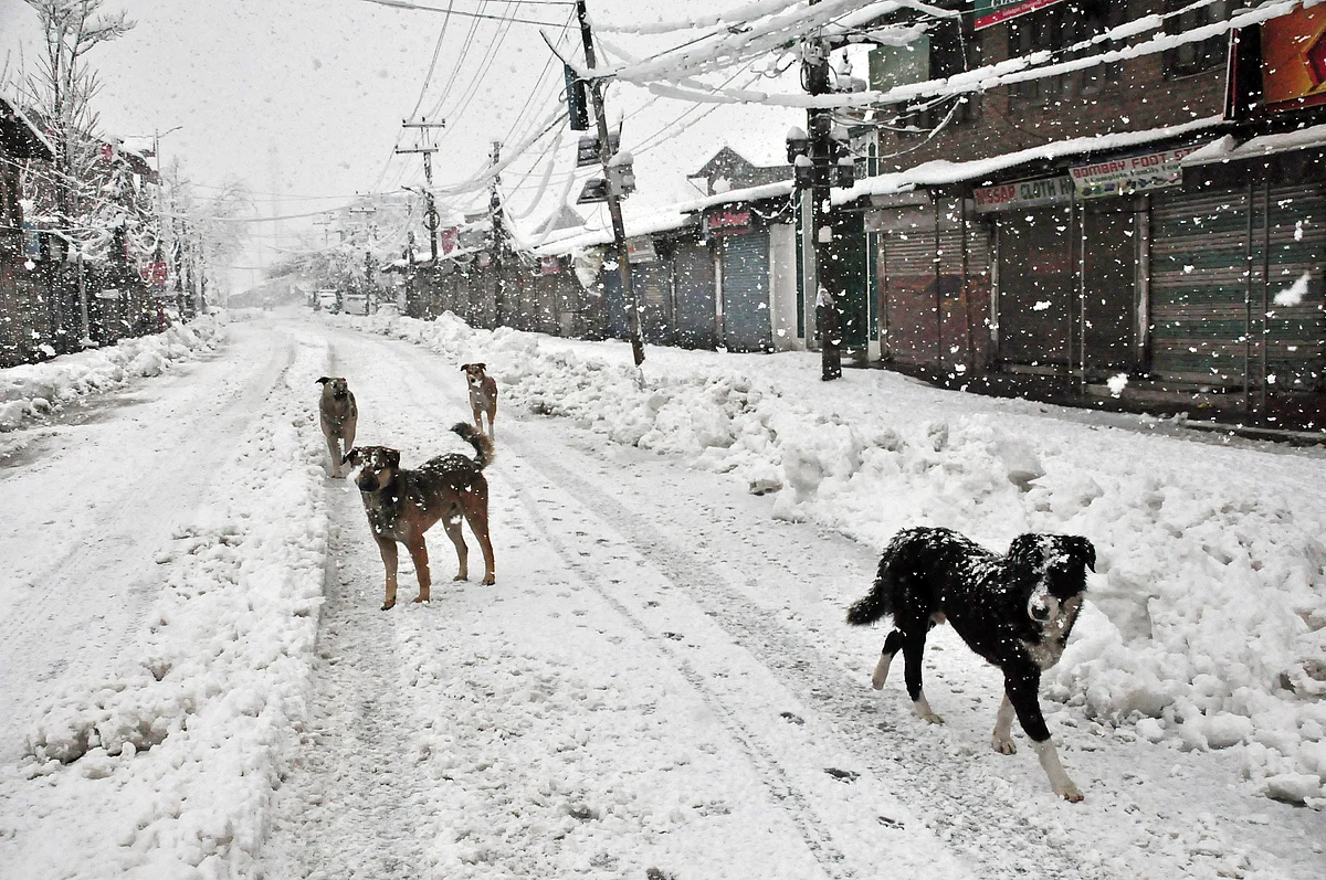 Representational Image