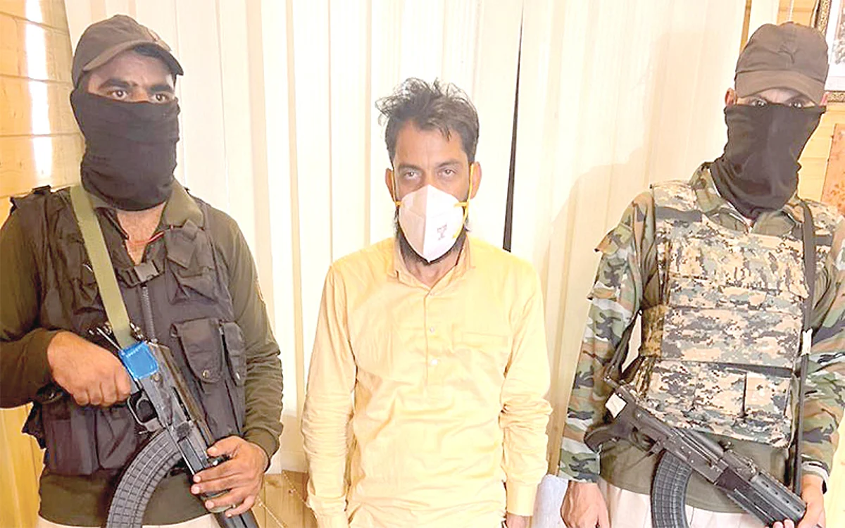 Police arrest fraudster in job scam