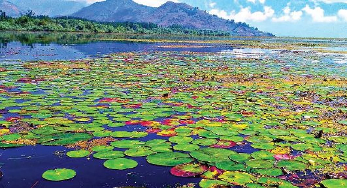 "In Kashmir, two water bodies were already on the list – Hokersar and Wular Lake. In the Jammu region the Surinsar-Mansar was also on the list already."